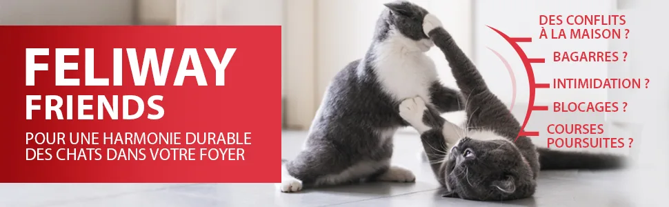 FELIWAY Friends Anti Conflit pour Chat - Diffuseur + Recharge 48 ml - Feliway
