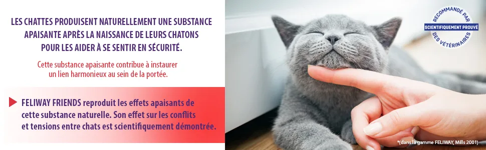 FELIWAY Friends Anti Conflit pour Chat - Recharge 48 ml - Feliway