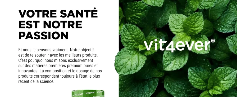 Multivitamin Daily - 450 tablets with bioactive forms - 15 months reserve - Precious minerals & all vitamins A-Z - Vegan - Vit4ever Brand