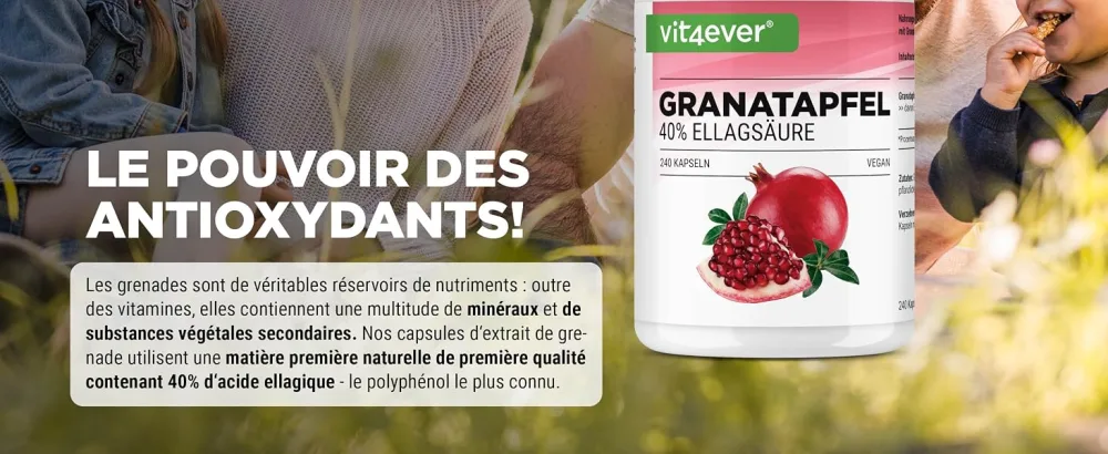 Pomegranate Extract - 240 Vegan Capsules - Premium Natural Extract with 40% Ellagic Acid - High Dosed - Vegan - Vit4ever