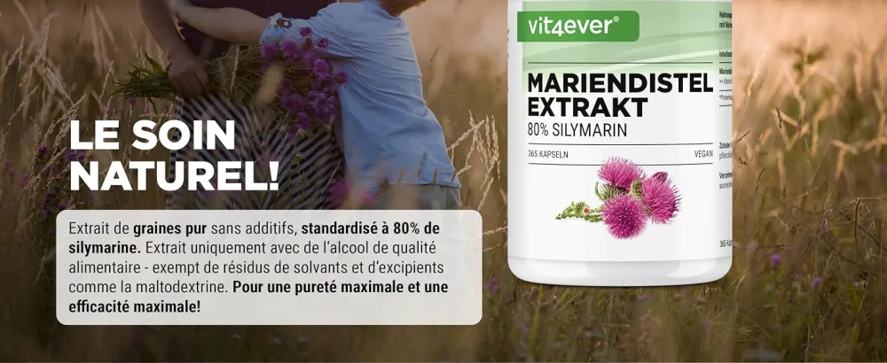 Milk Thistle Extract 365 capsules of 500 mg each - 80% silymarin - 12 months supply - High dosed - Vegan - Vit4ever