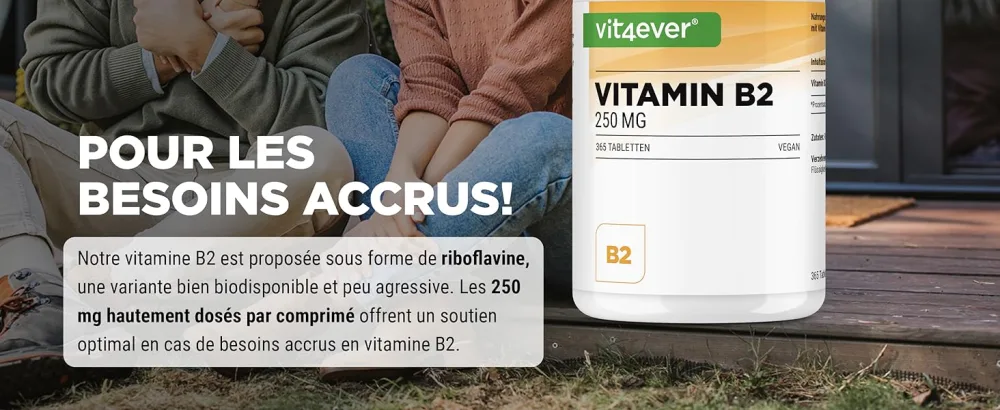 Vitamin B2 (Riboflavin) - 250 mg - 365 tablets - High dose - No unwanted additives - Vegan - Vit4ever