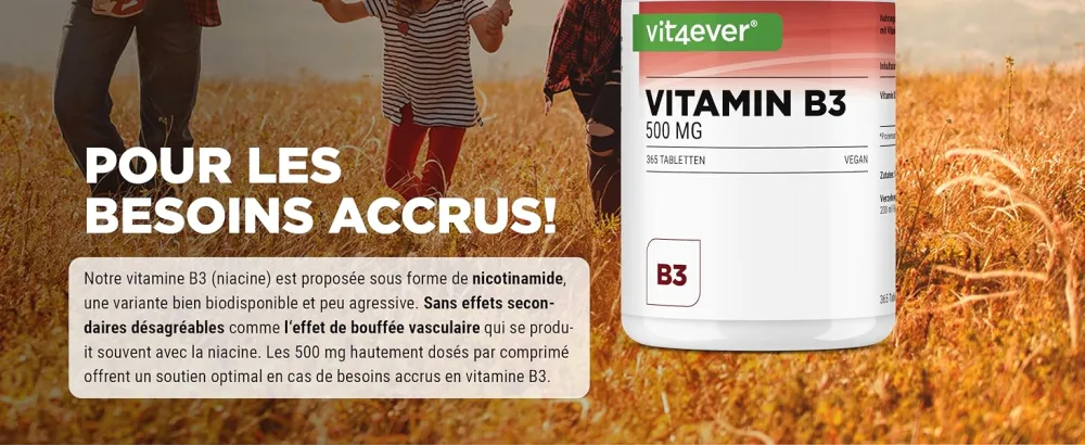 Vitamin B3 (Niacin) - 500 mg - 365 Tablets - High Dose Nicotinamide - Flushfree - No Additives - Vegan - Vit4ever