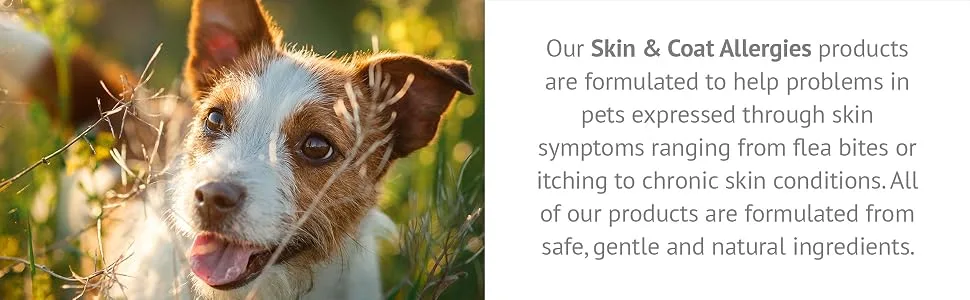 HomeoPet Hot Spots 15 ml - HomeoPet Skin & Coat Allergies