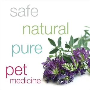 HomeoPet Hot Spots 15 ml - Safe, natural, pure, pet medicine