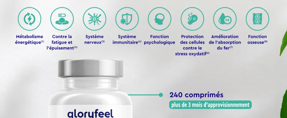 MSM with Vitamin C Bone Complex Joints Skin & Immune System* 2000 mg Methylsulfonylmethane Per Dose 240 Small Tablets Alternative to MSM Powder and MSM Capsules - collagene et acide hyaluronique