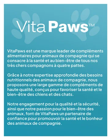Vitamin B Complex | All B Vitamins | 120 Tablets 2 Month Benefit | Vegan & Vegan Friendly | Simply Supplements - Vitapaws