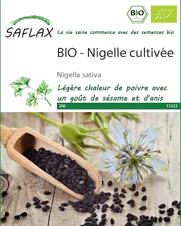 SAFLAX - Ginkgo - 4 seeds - Ginkgo biloba - product information 4