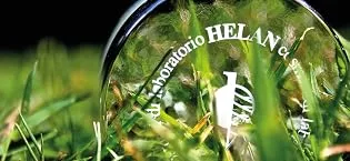 ELEMI beard oil - helan
