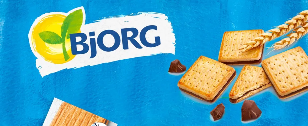 BJORG - Organic Honey Gingerbread - with Whole Rye Flour - Source of Fiber - 300 g - Bjorg