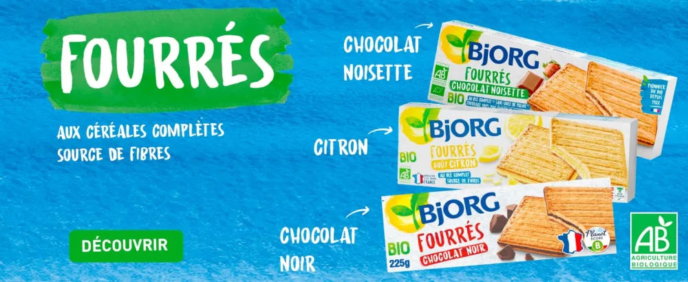 BJORG - Organic Honey Gingerbread - with Whole Rye Flour - Source of Fiber - 300 g - Bjorg