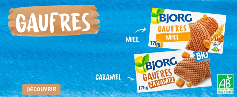 BJORG - Organic Honey Gingerbread - with Whole Rye Flour - Source of Fiber - 300 g - Bjorg