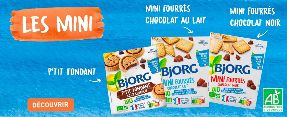 BJORG - Organic Honey Gingerbread - with Whole Rye Flour - Source of Fiber - 300 g - Bjorg