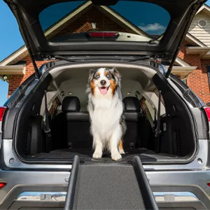 PetSafe Replacement Treads for Happy Ride Folding Dog Ramp - Traction or Fabric Styles Replacement Tread - Traction - final step how to assemble
