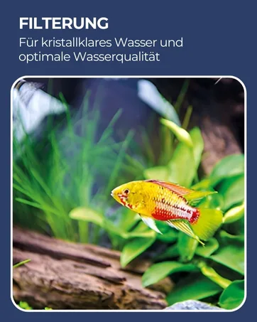 Hobby Protogen Infusoria for Aquariums 20 ml - Pack of 3 - Filtrage