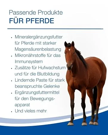 NutriLabs Supersulf MSM Equine Powder 1kg - Taille 4 :