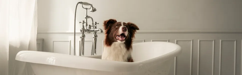 Iv San Bernard 020593 Mineral Complex Zolfo Plus Cream Shampoo 1000 ml - desparasitant chien anti puces chien shampoing chien anti parasitaire anti tiques chien