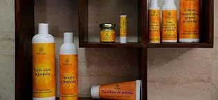 Propolis capsules + Echinacea. 120 capsules x 500 mg (350 mg Propolis + 150 mg Echinacea). Dietary supplement that helps activate the immune system. - PROPOLMEL