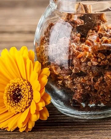 Propolis capsules + Echinacea. 120 capsules x 500 mg (350 mg Propolis + 150 mg Echinacea). Dietary supplement that helps activate the immune system. - PROPOLMEL