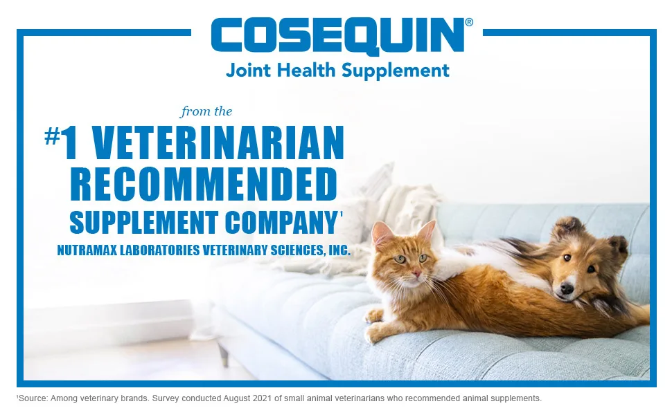 Nutramax Laboratories Cosequin Plus MSM & Boswellia Mini Sized Soft Chews - Cosequin Joint Health Supplement, from the #1 Veterinarian Recommended Supplement Company