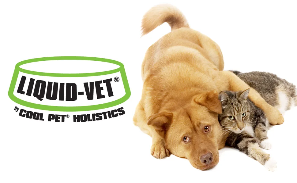 Liquid-Vet Advanced Hip & Joint Supplements for Cats with Glucosamine + Chondroitin + MSM + Hyaluronic Acid 8 Chicken - dog cat logo header