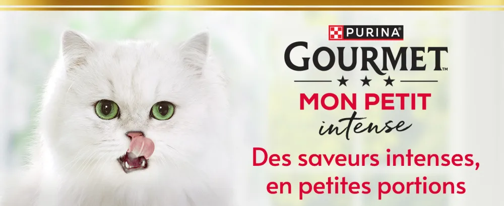 GOURMET MY LITTLE Poultry 6x50g - mon petit intense