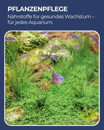 Hobby Artemia Egg for Aquarium 20 ml - Entretien des plantes