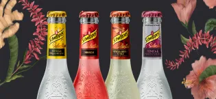 Schweppes Lemon refreshing drink 1 l - Schweppes