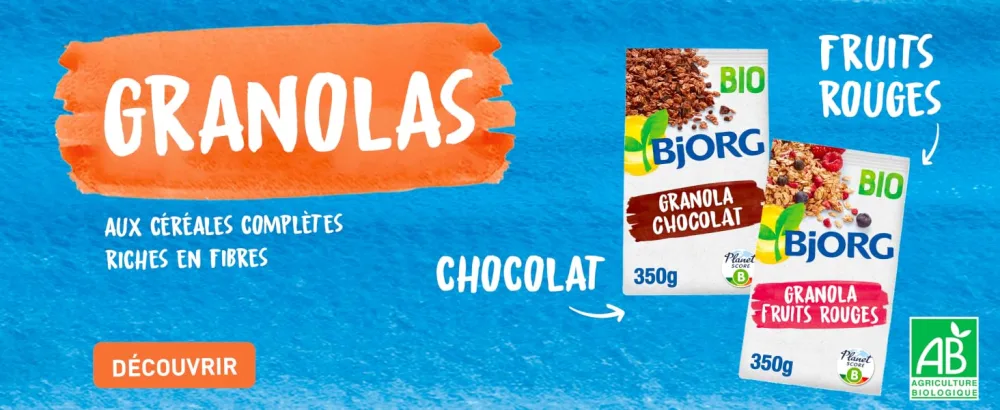BJORG - Organic Whole Spelt Flakes - Rich in Fiber - Source of Protein - Whole Grain - 500G Bag - Bjorg