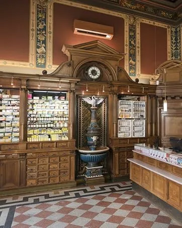 RATHAUS APOTHEKE WIEN Concentrated bud extract - Gemmotherapy - Betula verrucosa - Hanging birch juice - 15 ml - drfedsfvfe