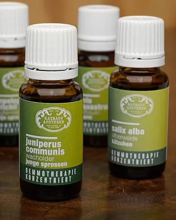RATHAUS APOTHEKE WIEN Concentrated bud extract - Gemmotherapy - Betula verrucosa - Hanging birch juice - 15 ml - product information 8