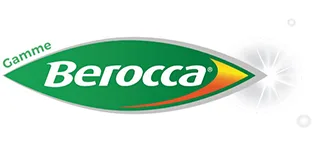 Berocca Magnesium - Magnesium Vitamins B6 B12 & Plant Extracts - Fatigue & Nervousness Memory & Concentration - 14 Bags of Effervescent Powder - Energie