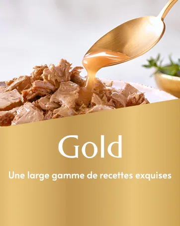 GOURMET GOLD Chiffon 4x85g - PURINA Gourmet chat humide