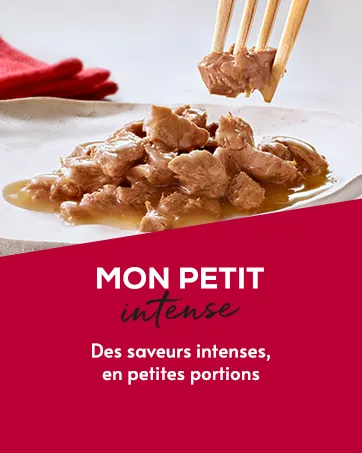 GOURMET GOLD Chiffon 4x85g - PURINA Gourmet chat humide