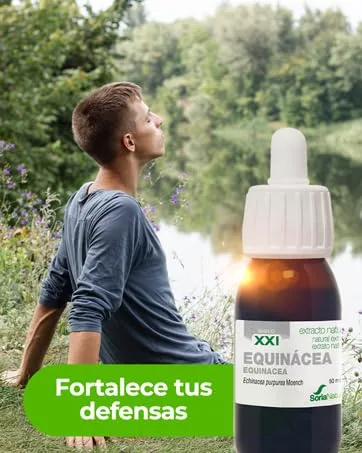 SORIA NATURAL Mousses - DÉFENSES