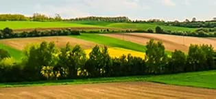 SORIA NATURAL Mousses - Soria Natural est une entreprise espagnole dédiée à la culture et à l
