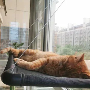 Cat Window Perches, Cat Hammock Window Seat, Cat Bed with Blanket, 360 Sunbath Cat Window Perch for Small and Large Cats - Scene graph