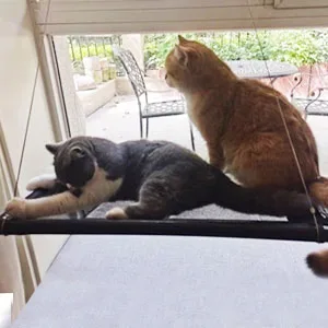 Cat Window Perches, Cat Hammock Window Seat, Cat Bed with Blanket, 360 Sunbath Cat Window Perch for Small and Large Cats - Scene graph