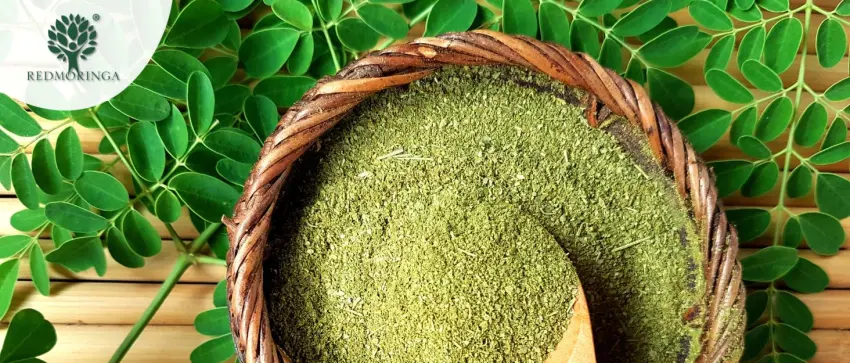 RedMoringa Moringa Oleifera Organic Supplement 100% Natural Source of Vitamins Minerals and Proteins Made in Italy (270 Capsules) - histoire  redmoringa