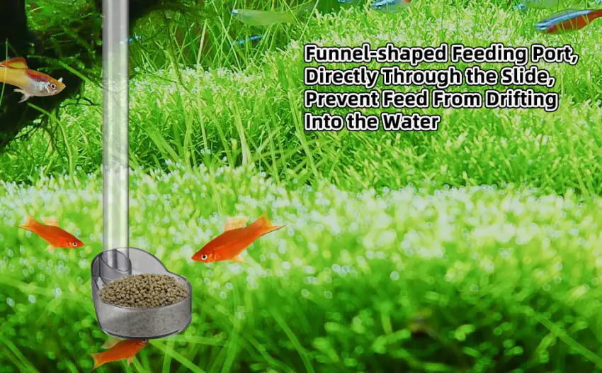UPETTOOLS Shrimp Feeding Dish Set, Aquarium Fish Feeder Tube Kit with Feeding Ring,Cleaning Brush for Fish Tank - product information 2