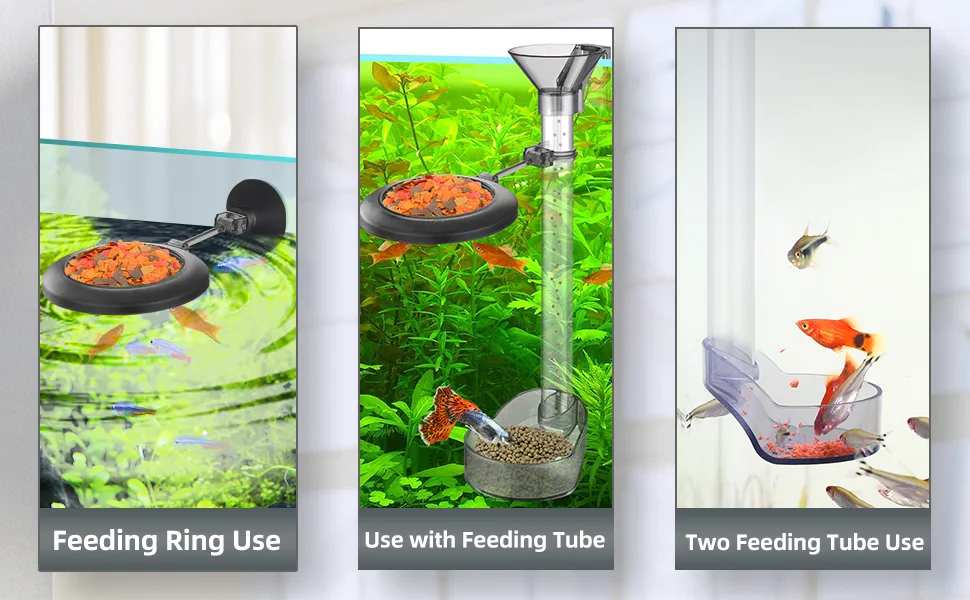 UPETTOOLS Shrimp Feeding Dish Set, Aquarium Fish Feeder Tube Kit with Feeding Ring,Cleaning Brush for Fish Tank - product information 3