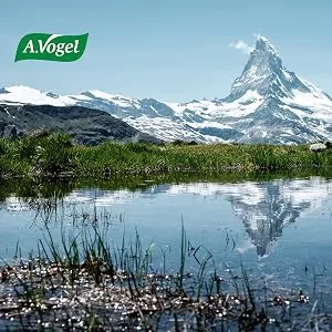 BIOFORCE WORT BIOFO OIL 100ML - A.Vogel montagne enneigée