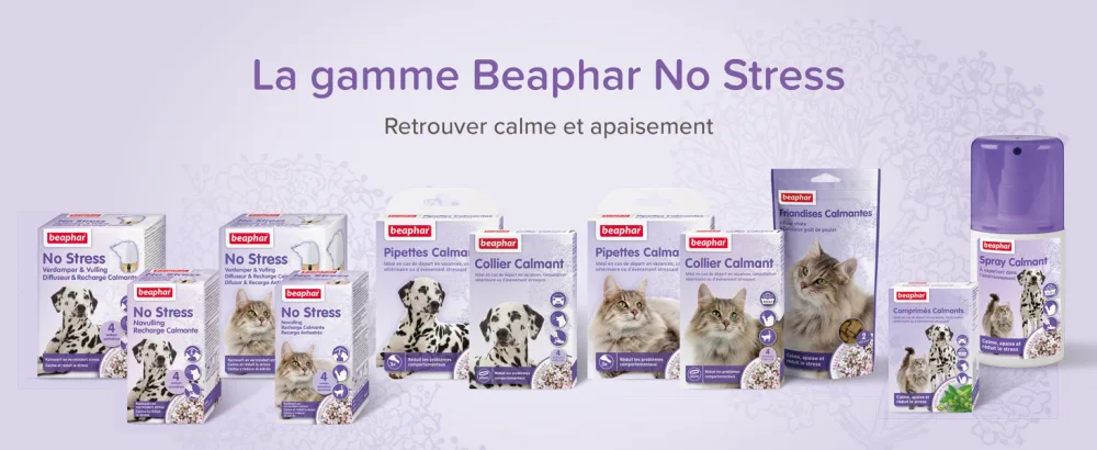 BEAPHAR NO STRESS Refill for calming electric diffuser with Valerian for dogs Reduces stress & behavioral problems without dependency 4 weeks of action 1 refill 30 ml - No Stress