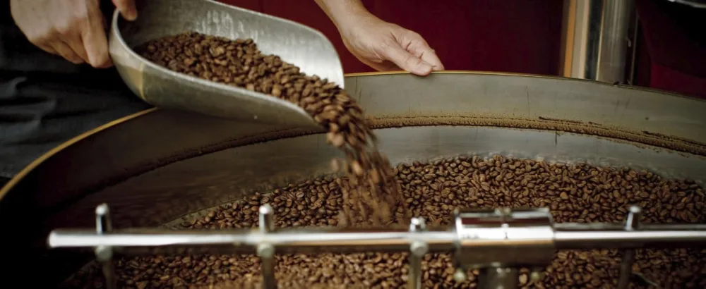 STARBUCKS Veranda Blend Blonde Roast Ground Coffee 200g (Pack of 6) - Origin