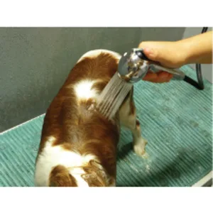 Crown Royale Condition Plus Dog Conditioner Ready-to-Use, Add Needed Moisture, Keeps Coat from Matting, for Fine and Medium Coats, Made in USA, 8 oz - Crown Royale How to Use 2