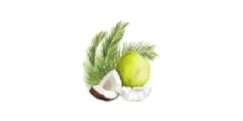 Biotique Coconut Whitening and Brightening Cream for All Skin Types - product information 2