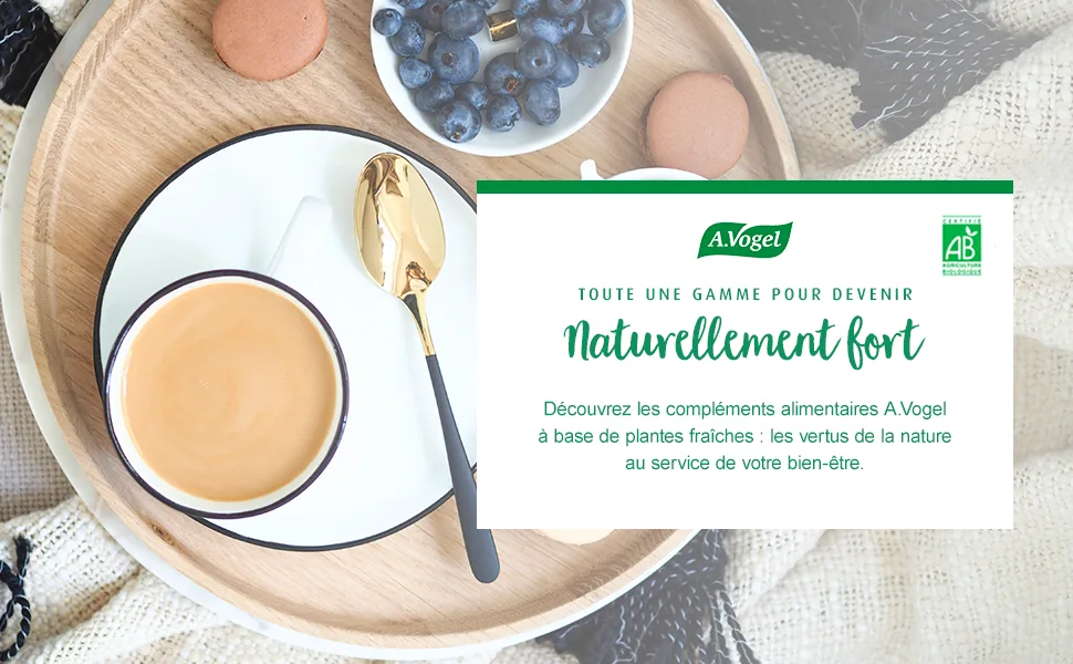 A.VOGEL Bambu - Instant Coffee Substitute Organic - Soluble Beverage Caffeine Free and 100% Natural - Roasted Fruits and Cer - A.Vogel Bambu