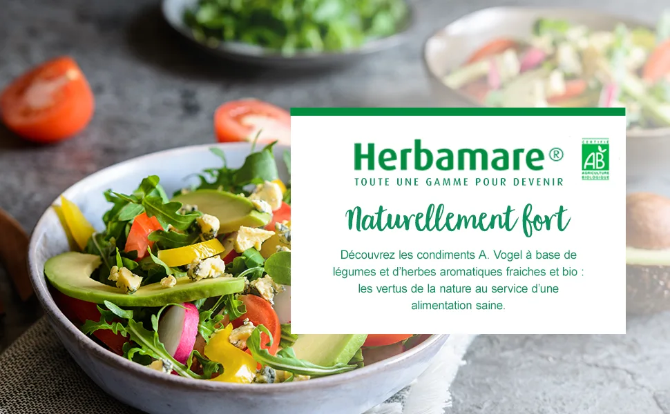 A. VOGEL - Herbamare Cubes - Organic Vegetable Cube Broth - Vegan and Gluten Free - 8x11g - Made in Switzerland. - A.VOGEL Herbamare