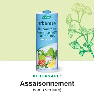 A. VOGEL - Herbamare Cubes - Organic Vegetable Cube Broth - Vegan and Gluten Free - 8x11g - Made in Switzerland. - A.VOGEL Herbamare diet