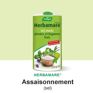 A. VOGEL - Herbamare Cubes - Organic Vegetable Cube Broth - Vegan and Gluten Free - 8x11g - Made in Switzerland. - Herbamare
